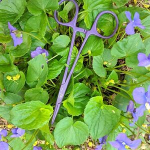 Pink or Purple PTFE Hemostats - Image 6