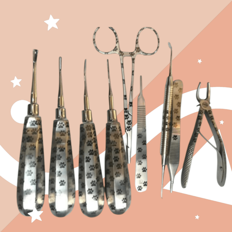 9 pc  🦷 Dental kit / 🐾 paw design - Image 4