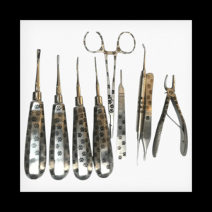 9 pc  🦷 Dental kit / 🐾 paw design